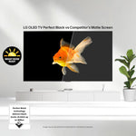 https://m.media-amazon.com/images/I/81ogSPB+lCL._AC_SL1500_.jpg