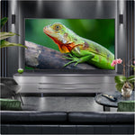 LG 86QNED80A6A 86-Inch 4K UHD Smart TV, (α7 AI Processor, Freeview Play and Amazon Alexa, 60Hz) [Model 2025]